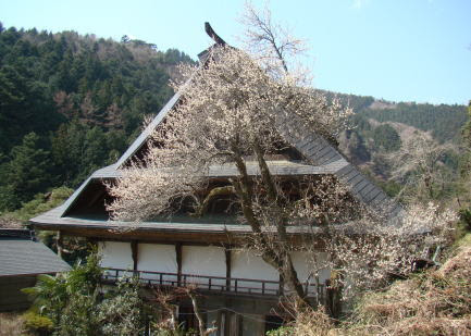 古民家の宿　山城