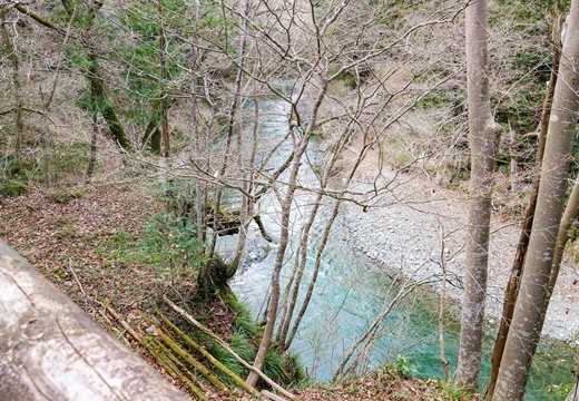 コテージ森林村(楽天トラベル)