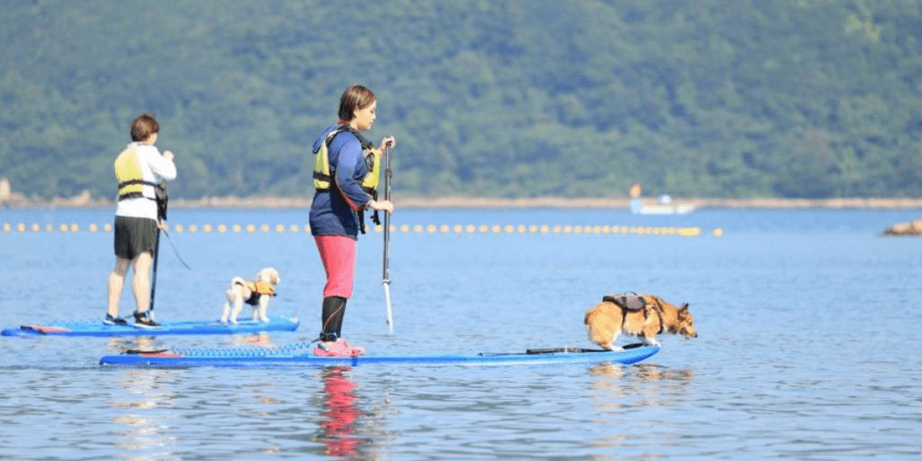 リゾート大島