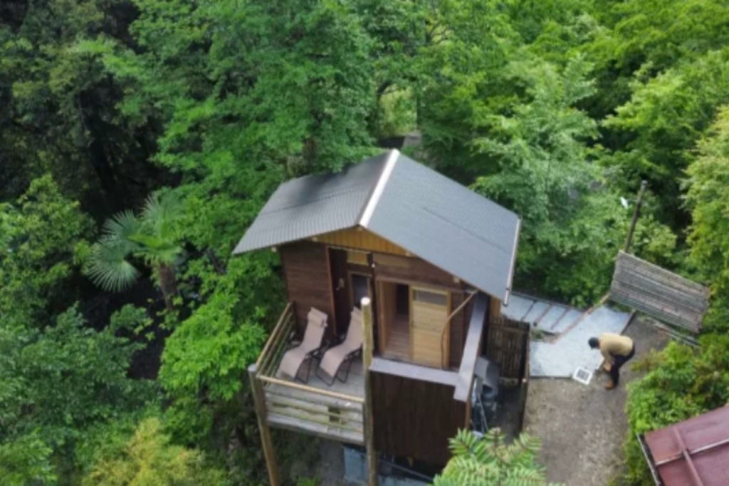 WOODLAND BOTHY