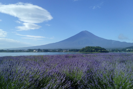 夢見る河口湖コテージ戸沢センター