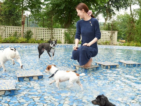 小谷流の里 ドギーズアイランド 日本最大級 ドッグラン 犬 プール