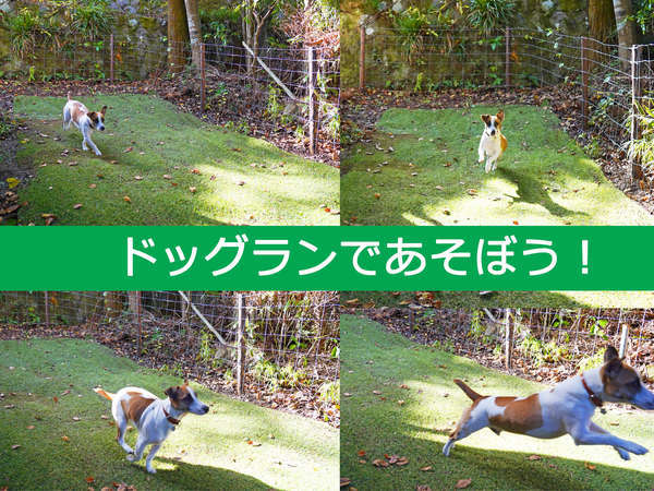 ヴィラ リベルテ箱根強羅 箱根 BBQ ドッグラン