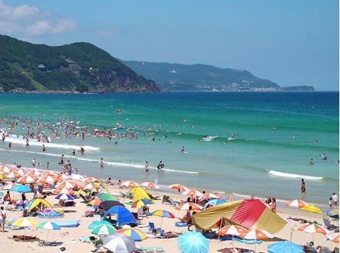 静岡県 下田 白浜海岸