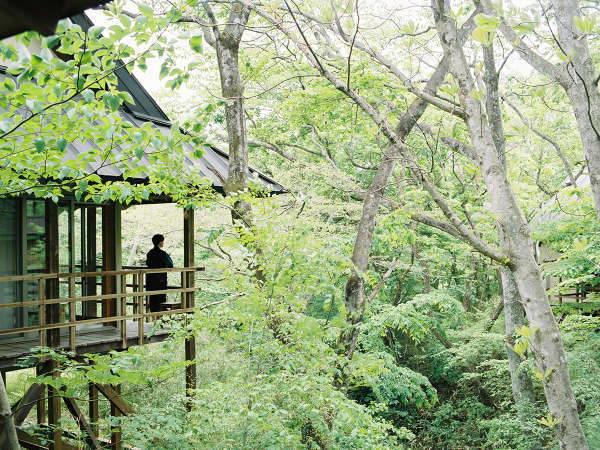 温泉山荘だいこんの花