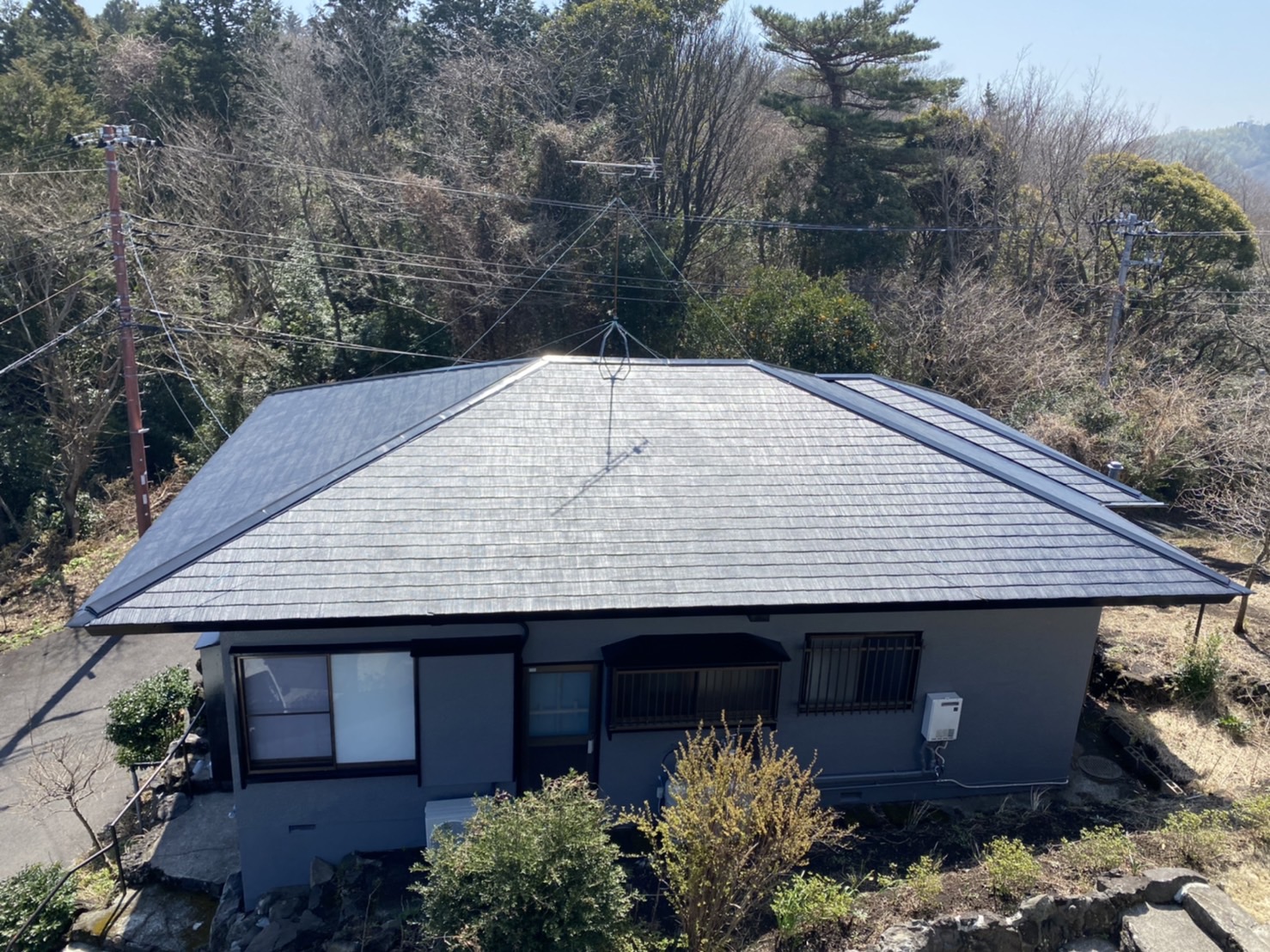 マイグレフラット 伊東