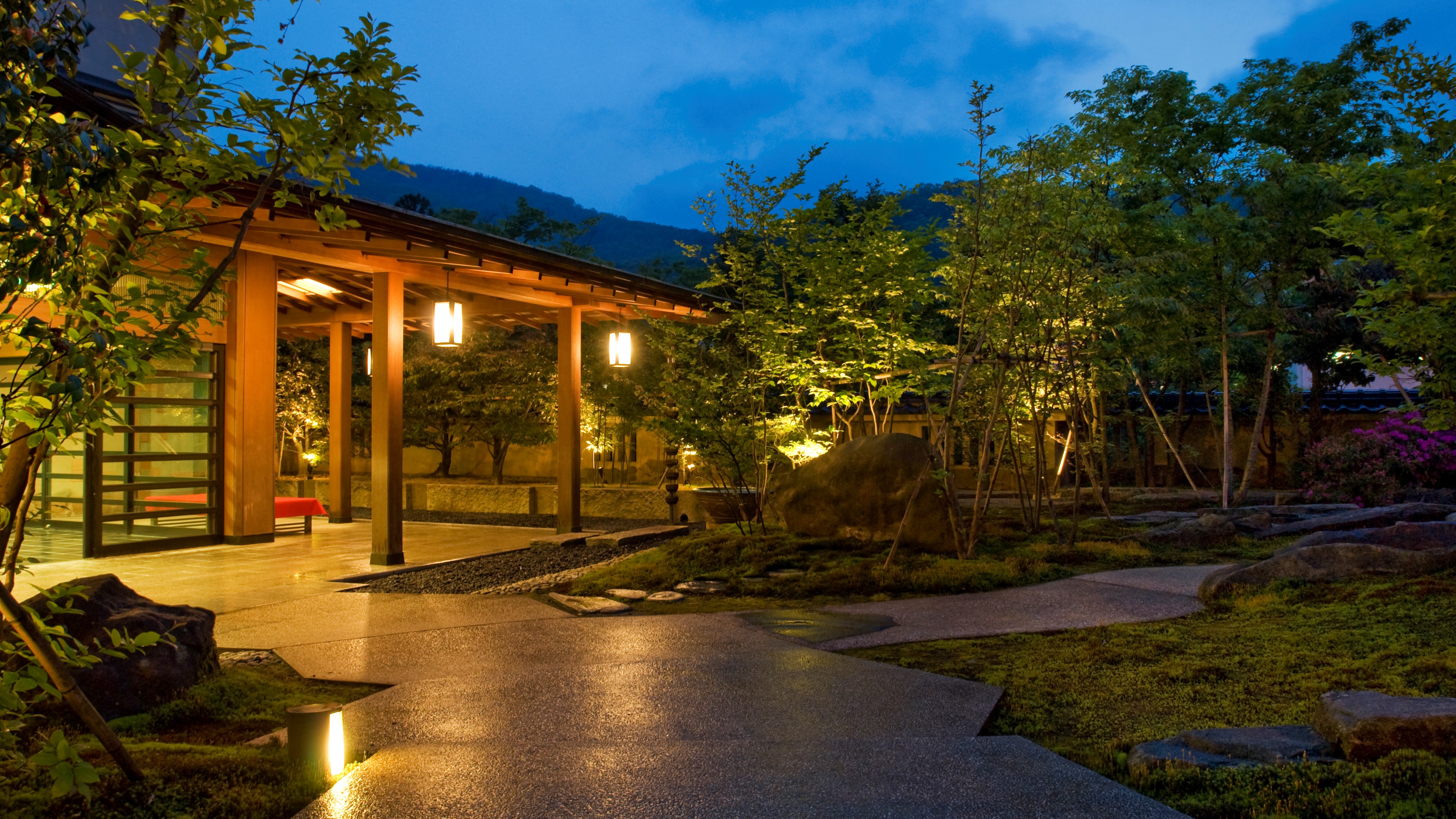 山中温泉 花紫