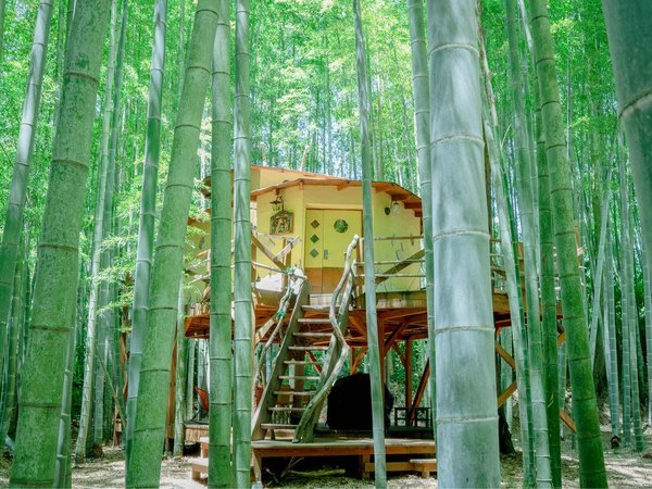 THE BAMBOO FOREST 市原
