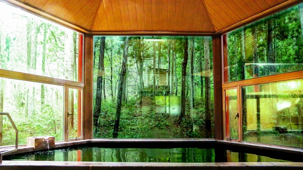 ルポの森 GRAN FOREST 越前美山