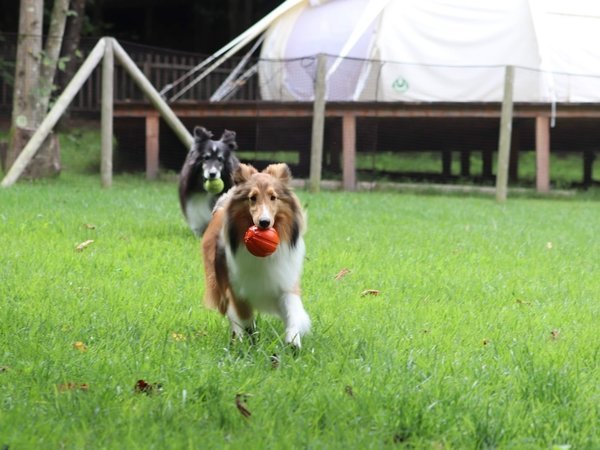 RITA’S RANCH 南軽井沢 ドッグラン