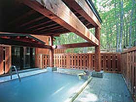 休暇村 乳頭温泉郷 温泉