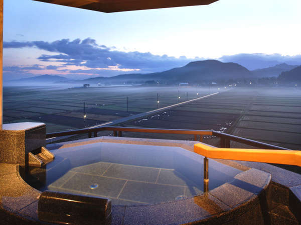 月岡温泉 白玉の湯 華鳳 別邸 越の里