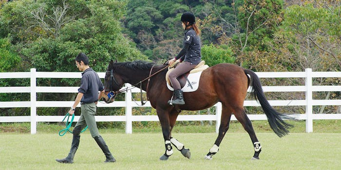 ホテルブルーベリーヒル勝浦 乗馬