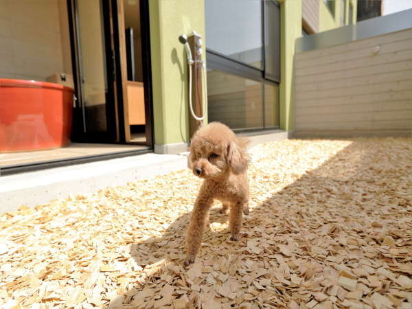 レジーナリゾートびわ湖長浜 愛犬