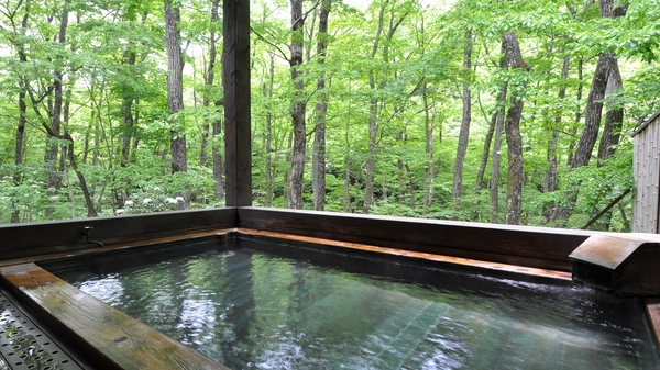 中ノ沢温泉 御宿 万葉亭