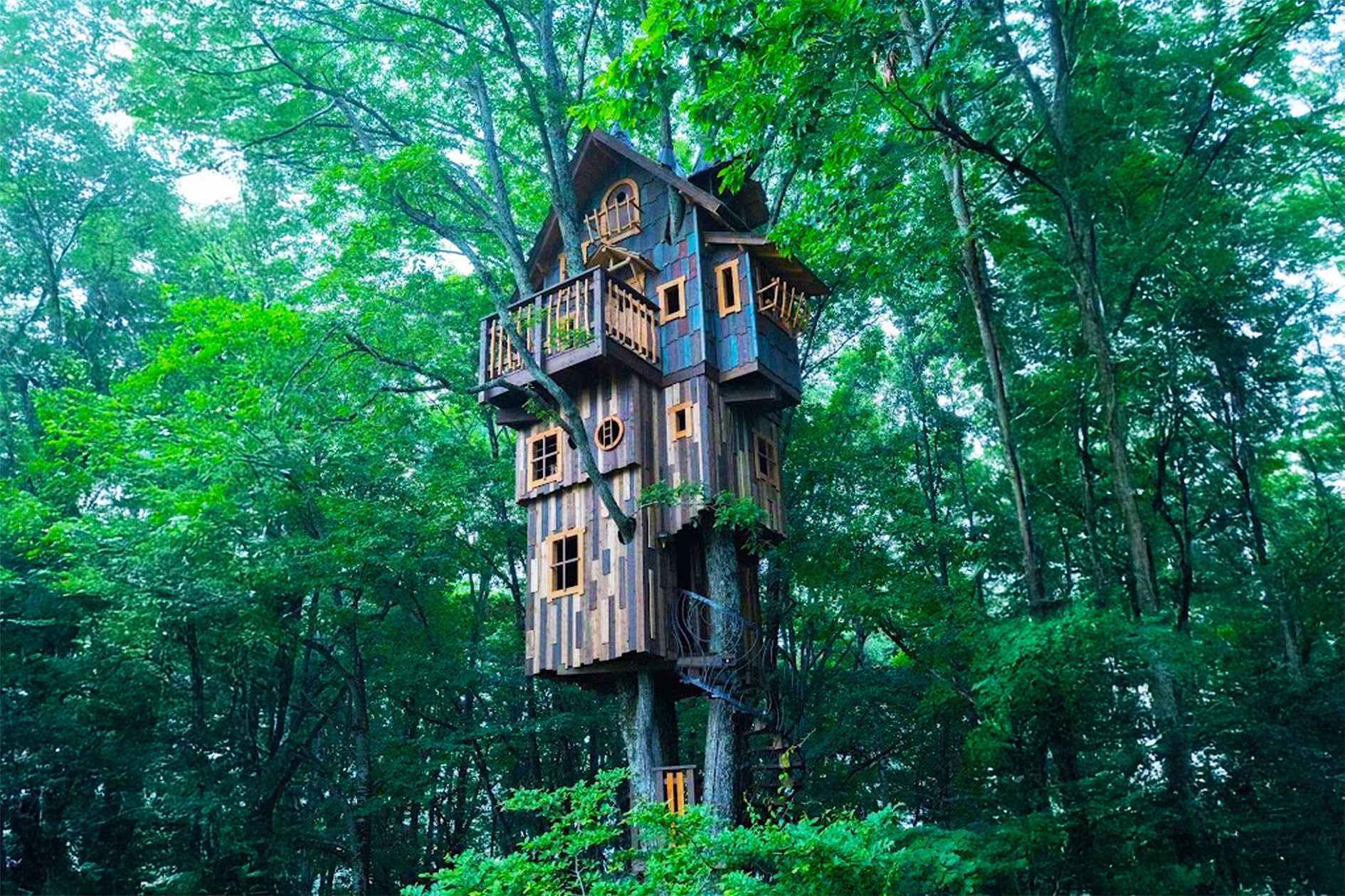 北軽井沢スウィートグラス ツリーハウス