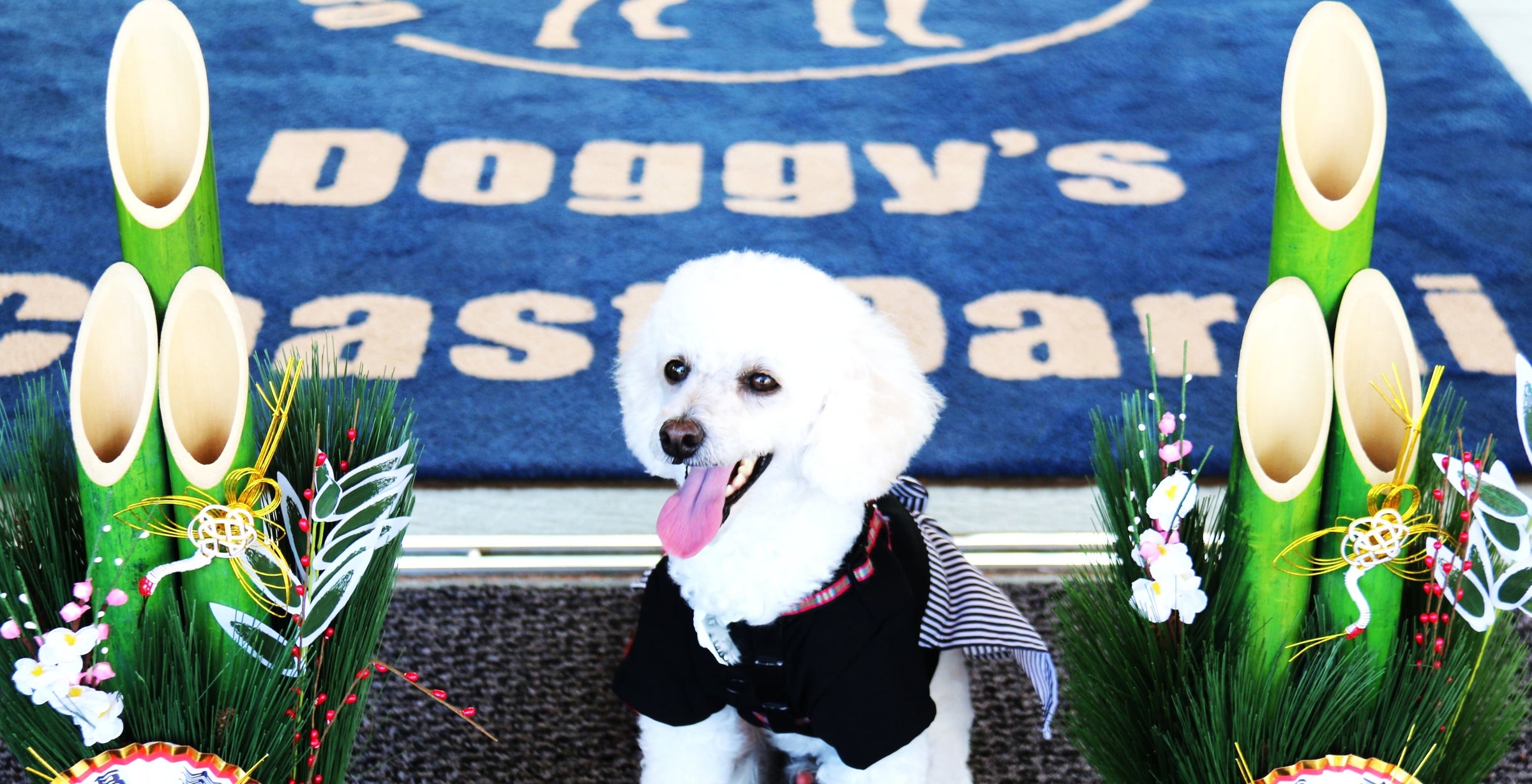 Doggy's Coast Oarai ドッグラン