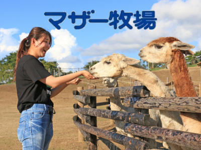 マザー牧場 グランピング THE FARM 動物