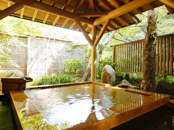 橋乃家別館 嵐翠